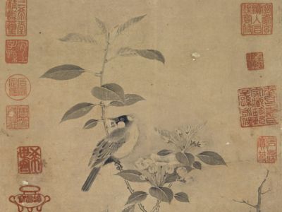 赵昌 画花鸟